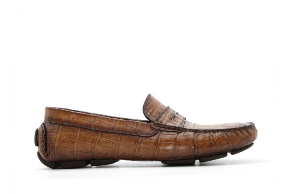 la STEVE alligator